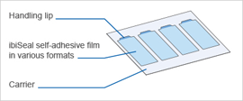 bc49a862f2ab48ec719d00cbeb40f731.png