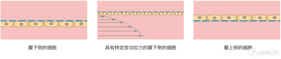 1689836040385745.png 7.png