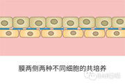1689836056497879.png 8.png