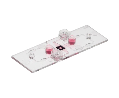 μ-Slide ibiPore SiN可視化transwell細胞侵襲 85216-S 85226-S 85236-S 85246 85246-S