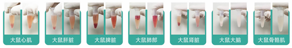 1715589992135802.jpg 組織消融后.jpg