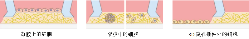 1739502673103750.png d12237e509bb3d66e5b78b8d4c756a8d.png