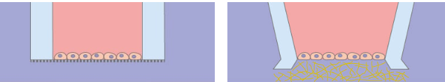 1739772367973780.png QQ截圖20250217140035.png