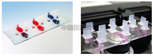 易必迪ibidi細(xì)胞趨化性試驗 u-Slide Chemotaxis 2D 圖1.png