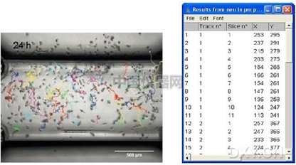 易必迪ibidi細(xì)胞趨化性試驗 u-Slide Chemotaxis 2D 圖5.png