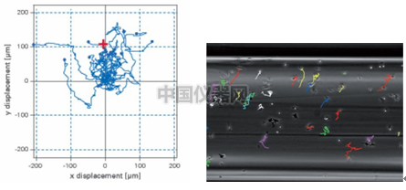 易必迪ibidi細(xì)胞趨化性試驗 u-Slide Chemotaxis 2D 圖8.png