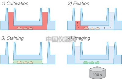 圖4.jpg
