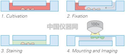 圖3.jpg