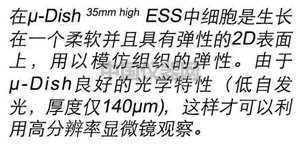 底部側面圖說明.jpg