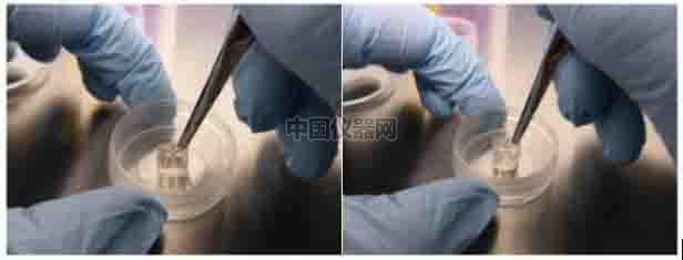傷口愈合/細(xì)胞劃痕實(shí)驗(yàn)新方法-如何劃出筆直均一的劃痕