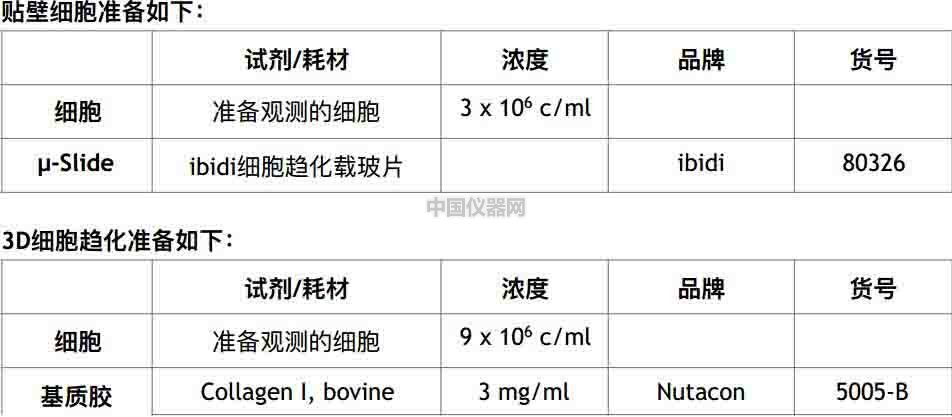 細胞趨化實驗新方法（二）--實時觀察細胞動態