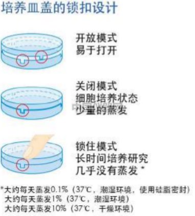 激光共聚焦實驗的樣品準備方法對比——無需細胞爬片的樣品準備新方法VS傳統方法