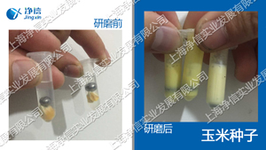 多樣品組織研磨儀 型號:Tissuelyser-96