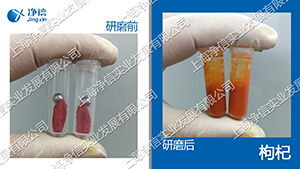 快速組織研磨機(jī),多樣品組織勻漿機(jī),快速樣品勻漿系統(tǒng)