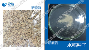 快速組織研磨機(jī),多樣品組織勻漿機(jī),快速樣品勻漿系統(tǒng)