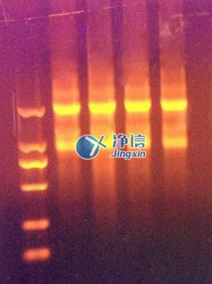全自動樣品快速研磨儀研磨
