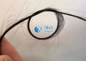 毛發(fā)樣本