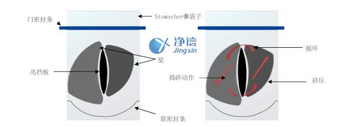 拍打式樣品均質器