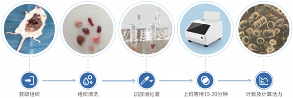 操作步驟