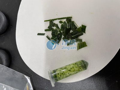 全自動(dòng)組織研磨儀對(duì)樣品研磨的實(shí)驗(yàn)步驟