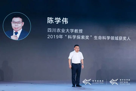 陳學偉教授
